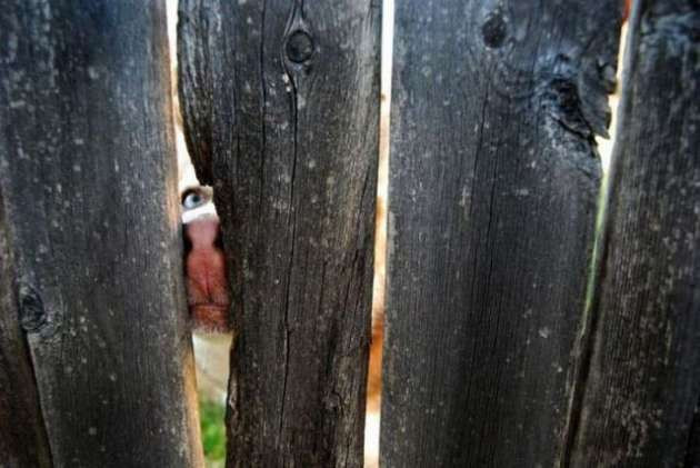 Cumartesi gününe neşeli başlayın - Resim: 4