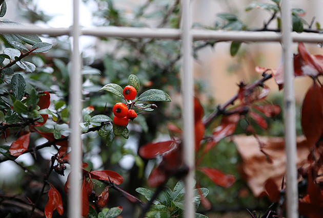 Ataşehir'de Sonbahar - Resim: 4
