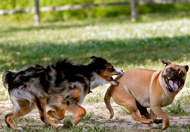 Haftaya damga vuran fotoğraflar - Resim: 1