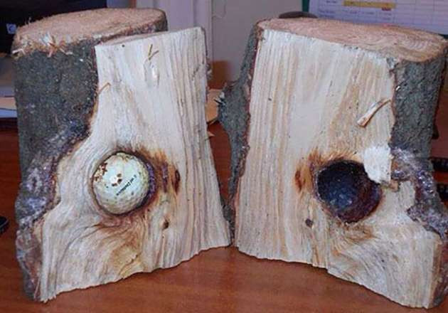 Günün en ilginç fotoğraf kareleri - Resim: 2