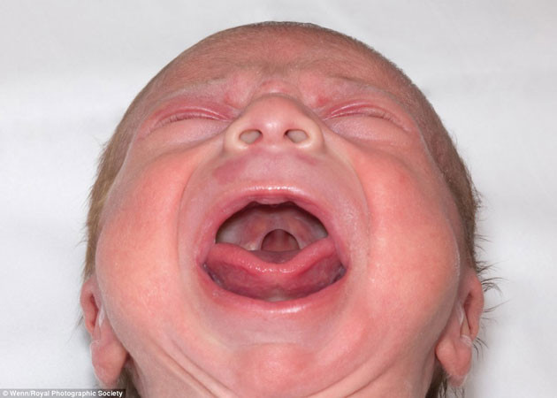 Sizi şok edecek gerçek fotoğaflar - Resim: 1