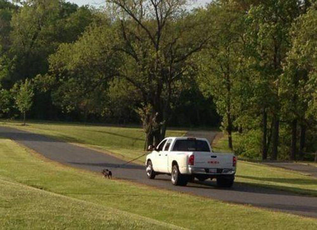 Tembellikte sınır tanımayanlar - Resim: 3