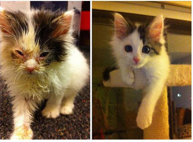 Bir de son halini görmelisiniz! - Resim: 2