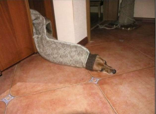 Günün en çılgın 50 fotoğrafı - Resim: 4