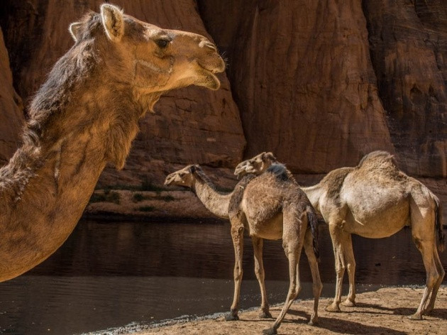 Çölün ortasında mucize! Burada su hiç bitmiyor - Resim: 2