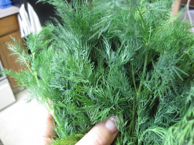 Kadınlar mutlaka tüketin! Bakın neye iyi geliyor - Resim: 3