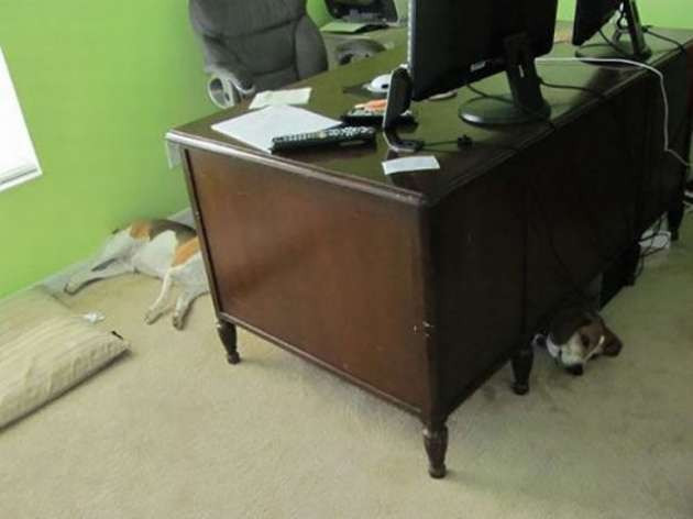 Bu fotoğraflara iki kez bakacaksınız! - Resim: 2