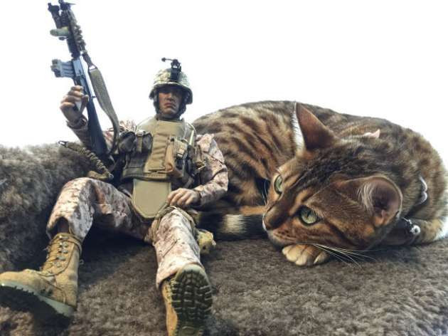 Günün en çok  paylaşılan 30 fotoğrafı - Resim: 3