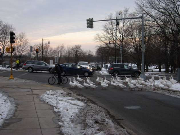 Günün en ilginç fotoğrafları - Resim: 2