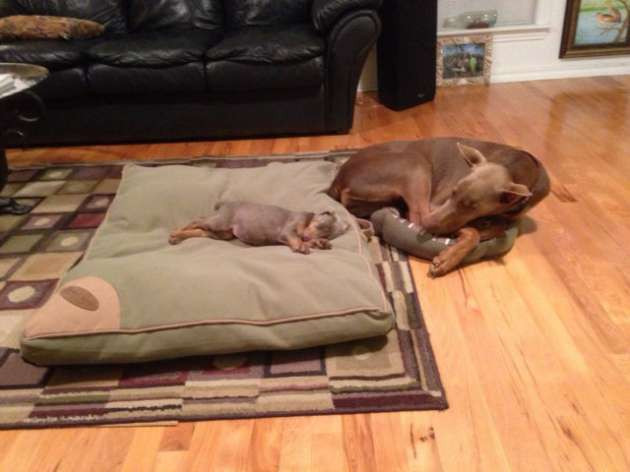 Günün en ilginç fotoğrafları - Resim: 4