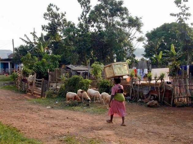 Dünyanın en zeki ülkeleri - Resim: 3