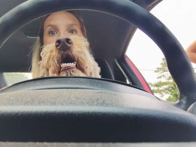 Günün  en beğenilen fotoğrafları - Resim: 2