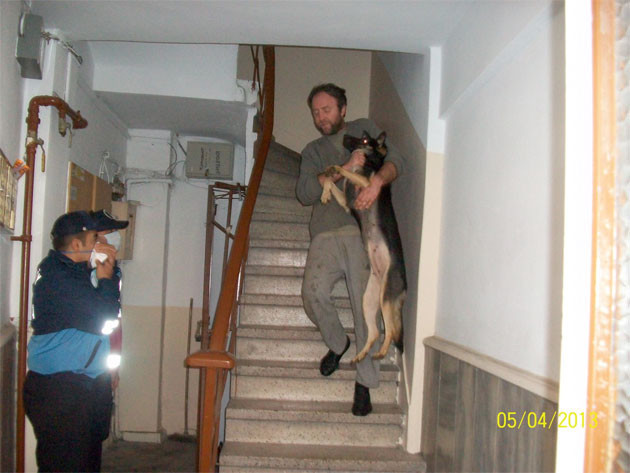 Apartman dairesinden 23 köpek çıktı - Resim: 1