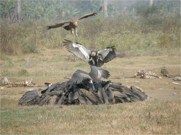 Dünya'nın en çılgın inanışı! - Resim: 1