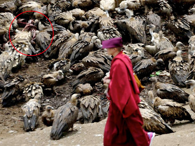 Dünya'nın en çılgın inanışı! - Resim: 2