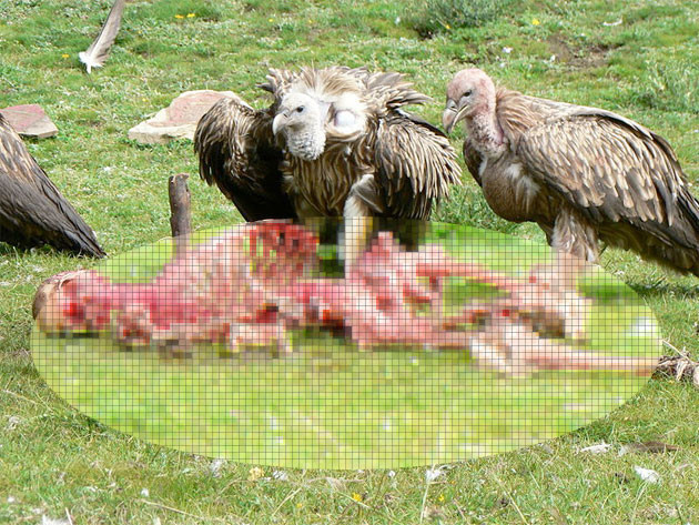 Dünya'nın en çılgın inanışı! - Resim: 4