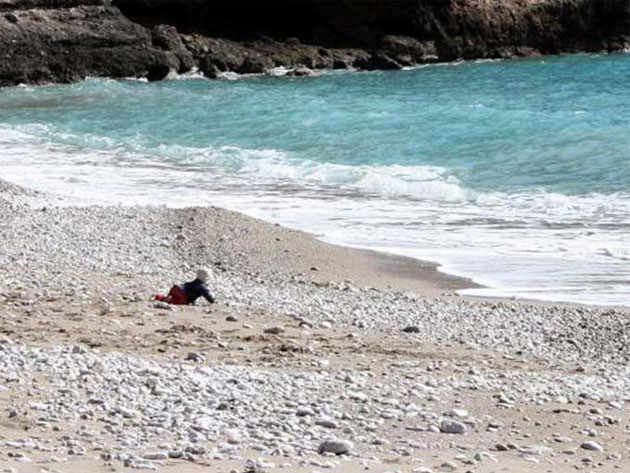 Köpek bebeği böyle kurtardı - Resim: 1