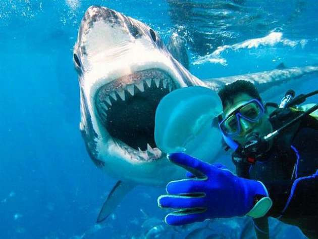 Haftanın en çok beğenilen fotoğrafları - Resim: 2