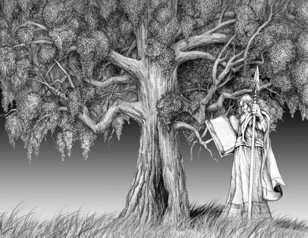 Cinayetler niye çarşamba günü işleniyor - Resim: 2