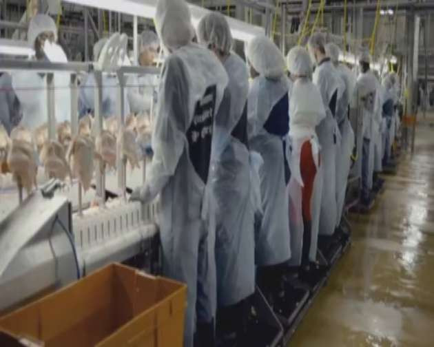 Bayılarak yediğiniz 'Nugget' nasıl yapılıyor? - Resim: 1