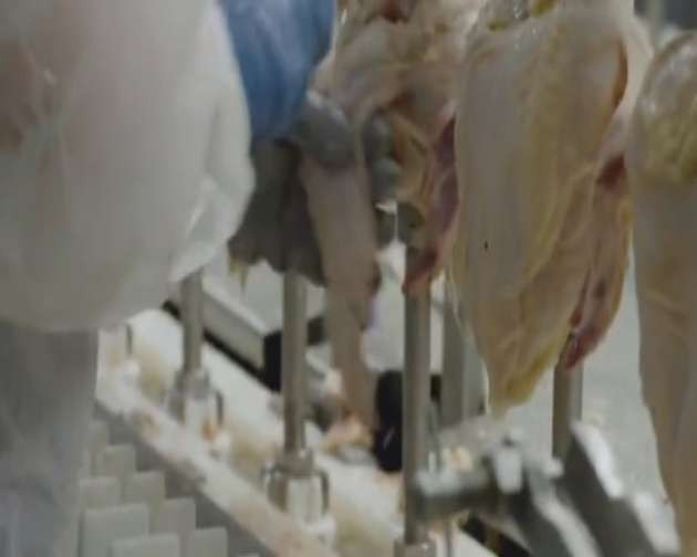 Bayılarak yediğiniz 'Nugget' nasıl yapılıyor? - Resim: 3