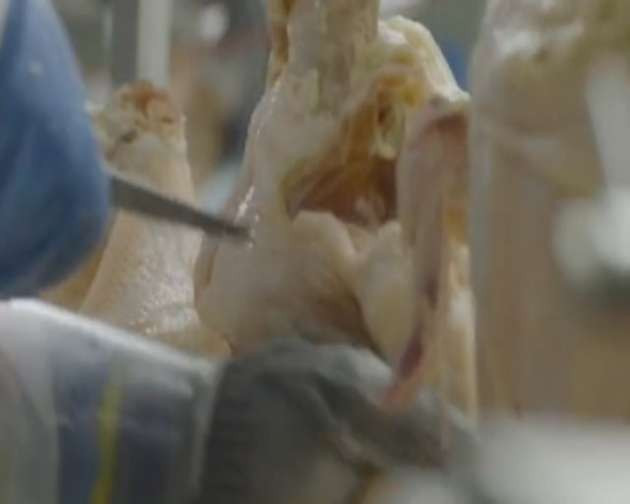 Bayılarak yediğiniz 'Nugget' nasıl yapılıyor? - Resim: 4