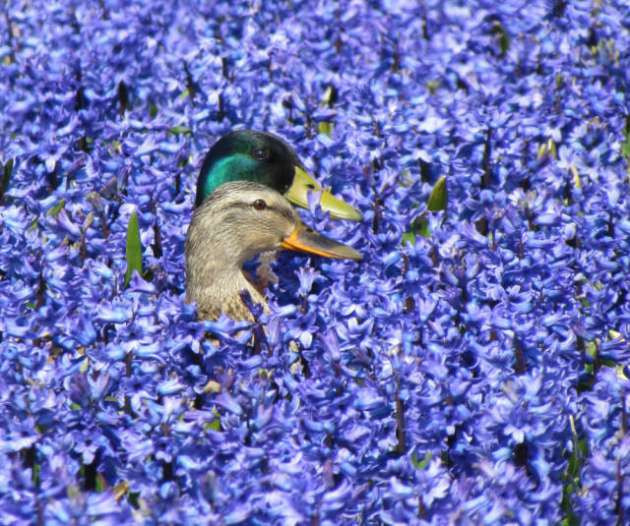 Günün en çok paylaşılan fotoğrafları - Resim: 1