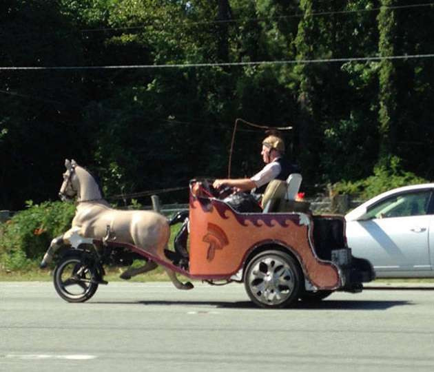 Günün en çok tıklanan fotoğrafları - Resim: 4
