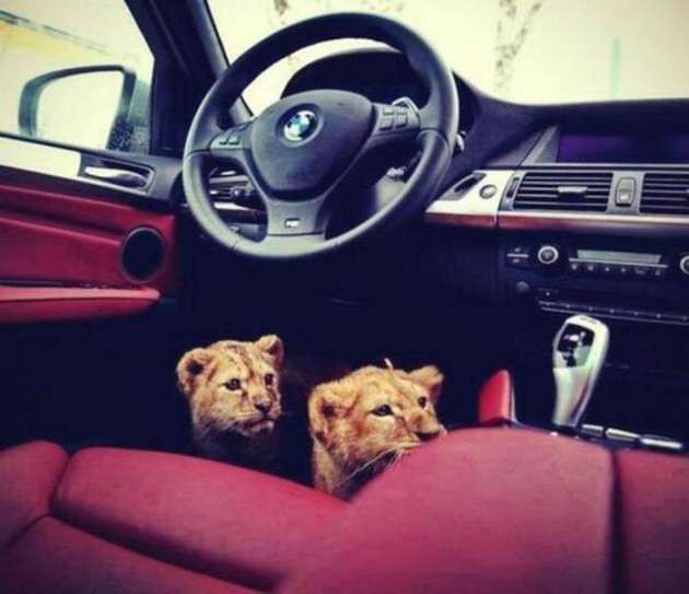 Mafya babasının inanılmaz zenginliği - Resim: 4