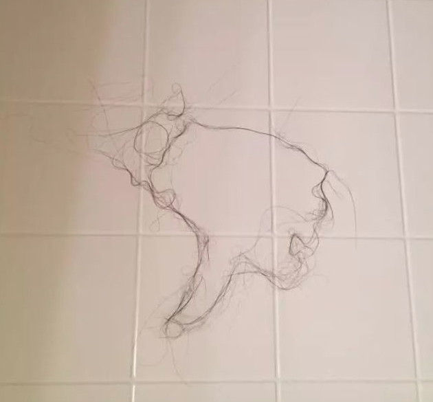 İğrenç görüntüler! Dağınıklığın ve pisliğin böylesi görülmedi - Resim: 4