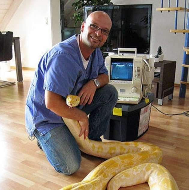 Evde bir yılanla yaşamak mı? - Resim: 1