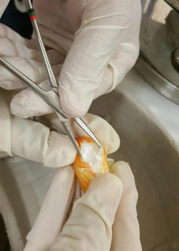 Atatürk Havalimanı'nda şoke eden görüntü! - Resim: 4