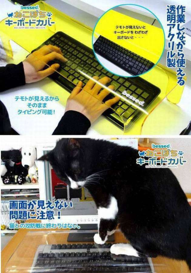 Günün en çok beğenilen fotoğrafları - Resim: 2