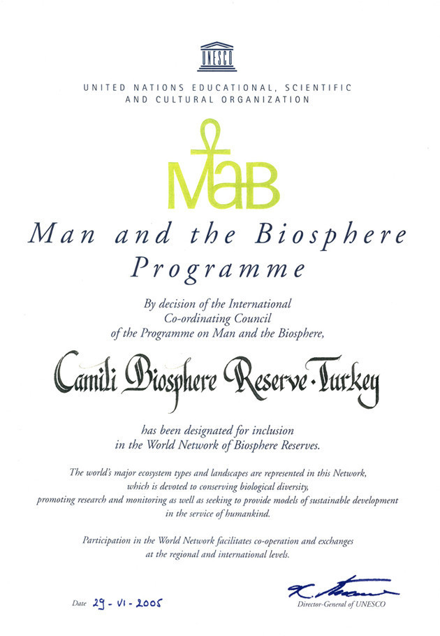 İşte UNESCO tarafından tescillenen Türk değerlerimiz - Resim: 4