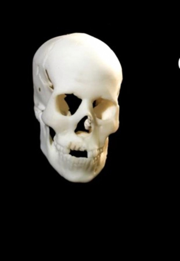 9 bin yıl önce kadınlar böyle görünüyordu - Resim: 1