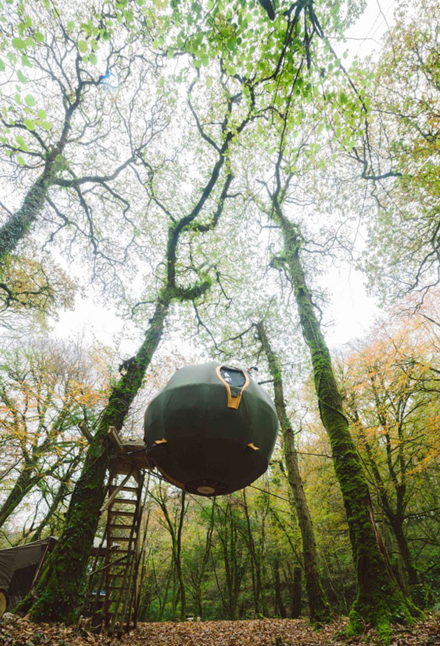 İngiltere'nin ilk agaç evi oteli büyük talep görüyor! - Resim: 4