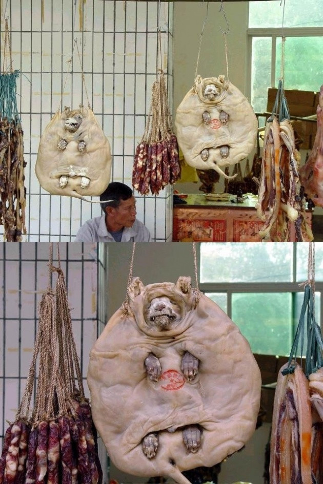 Günün en komik fotoğrafları - Resim: 3