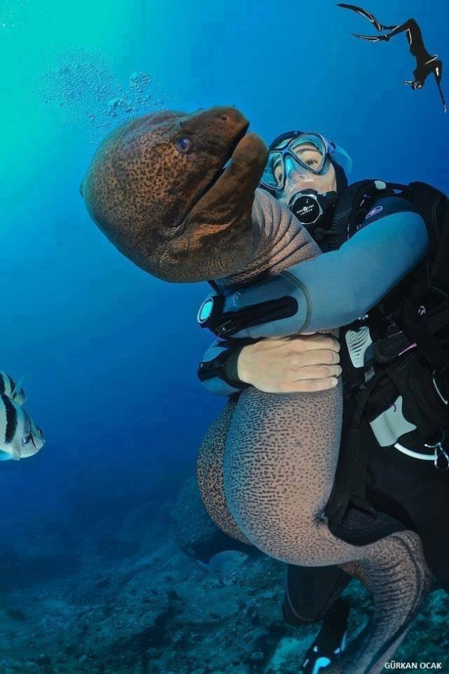 Haftanın en ilginç ve en komik fotoğrafları - Resim: 2