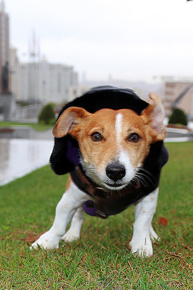Ataşehir'de Sonbahar - Resim: 2