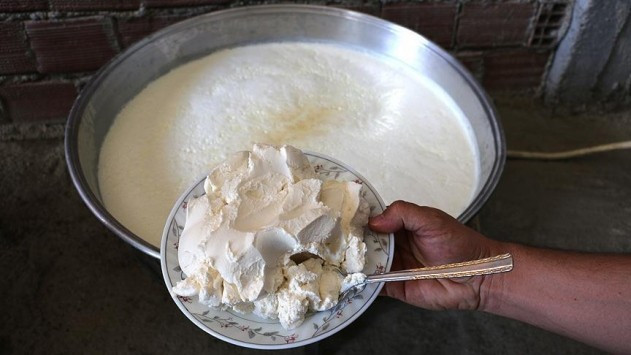 Salgınla mücadele için probiyotik tüketin - Resim: 2