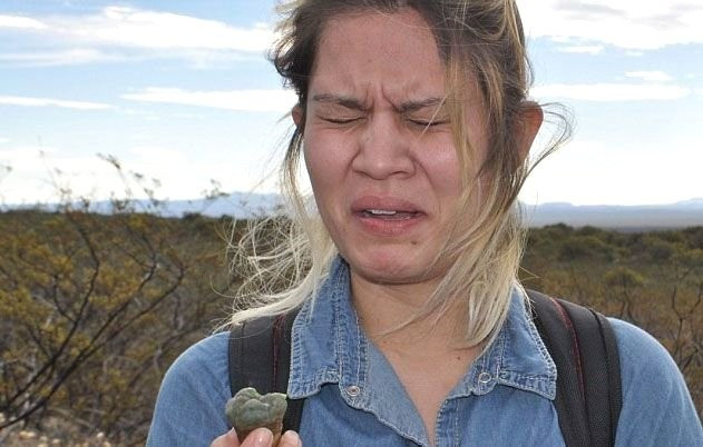 Bu kaktüsü yiyen anında soyunuyor! Aklı başından gidiyor - Resim: 2