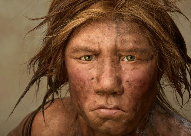 Neandertal dünyanın yok olan insan ırkı - Resim: 1