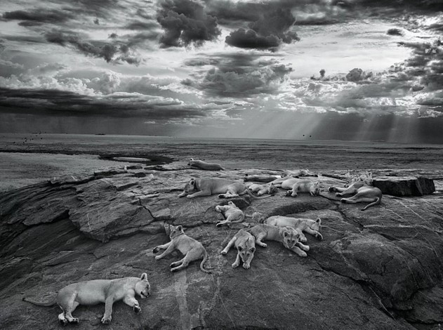 Tahmin ettiğiniz gibi değil bakın ne çıktı?  - Resim: 2