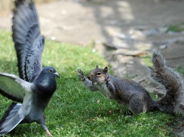 Haftaya damga vuran fotoğraflar - Resim: 4