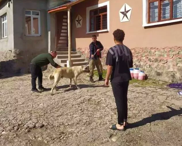 Türkiye diken üstünde! Kuduz vakasını ilk kez anlattı; çocuklar eve geldiğinde... - Resim: 1