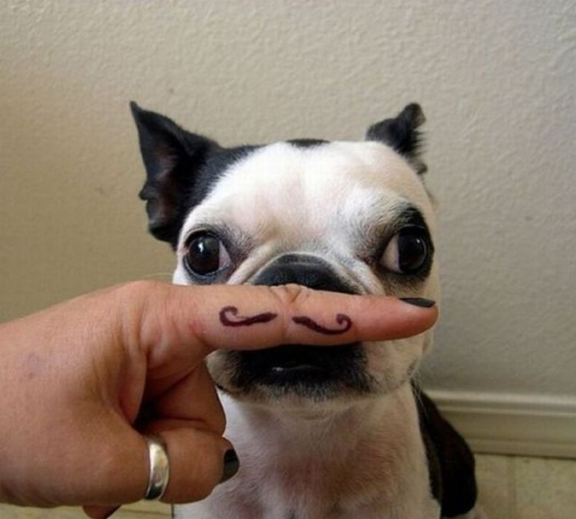 Günün en ilginç fotoğraf kareleri! - Resim: 4