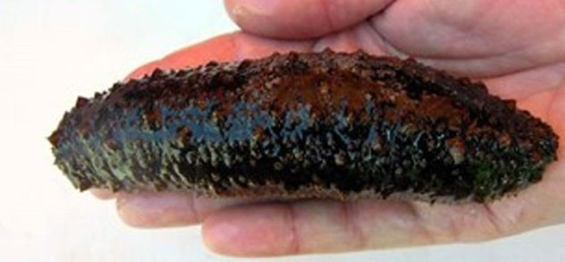 İhbar ortaya çıkardı hepsi şüpheli minibüsten çıktı! - Resim: 4