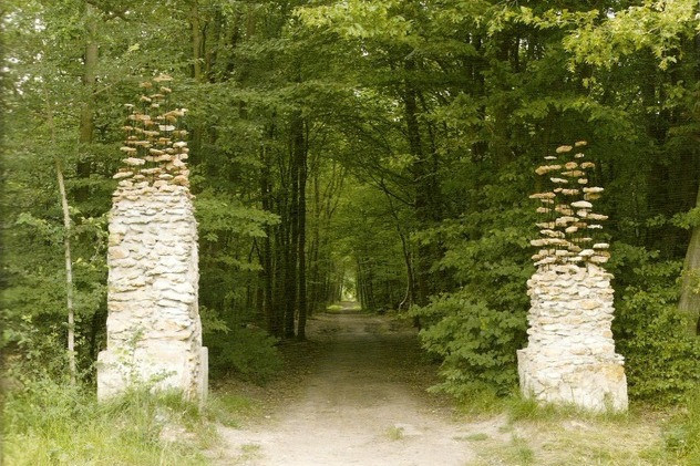 Yer çekimine meydan okuyor - Resim: 3