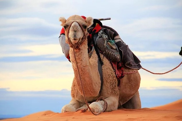 Bu ülkede ölmek tamamen yasa dışı! İnanması güç - Resim: 2