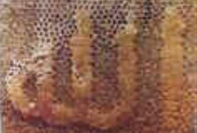 Dünyadan ibretlik görüntüler - Resim: 4